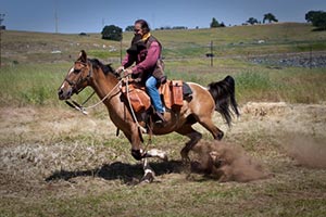 Pony Express rider
